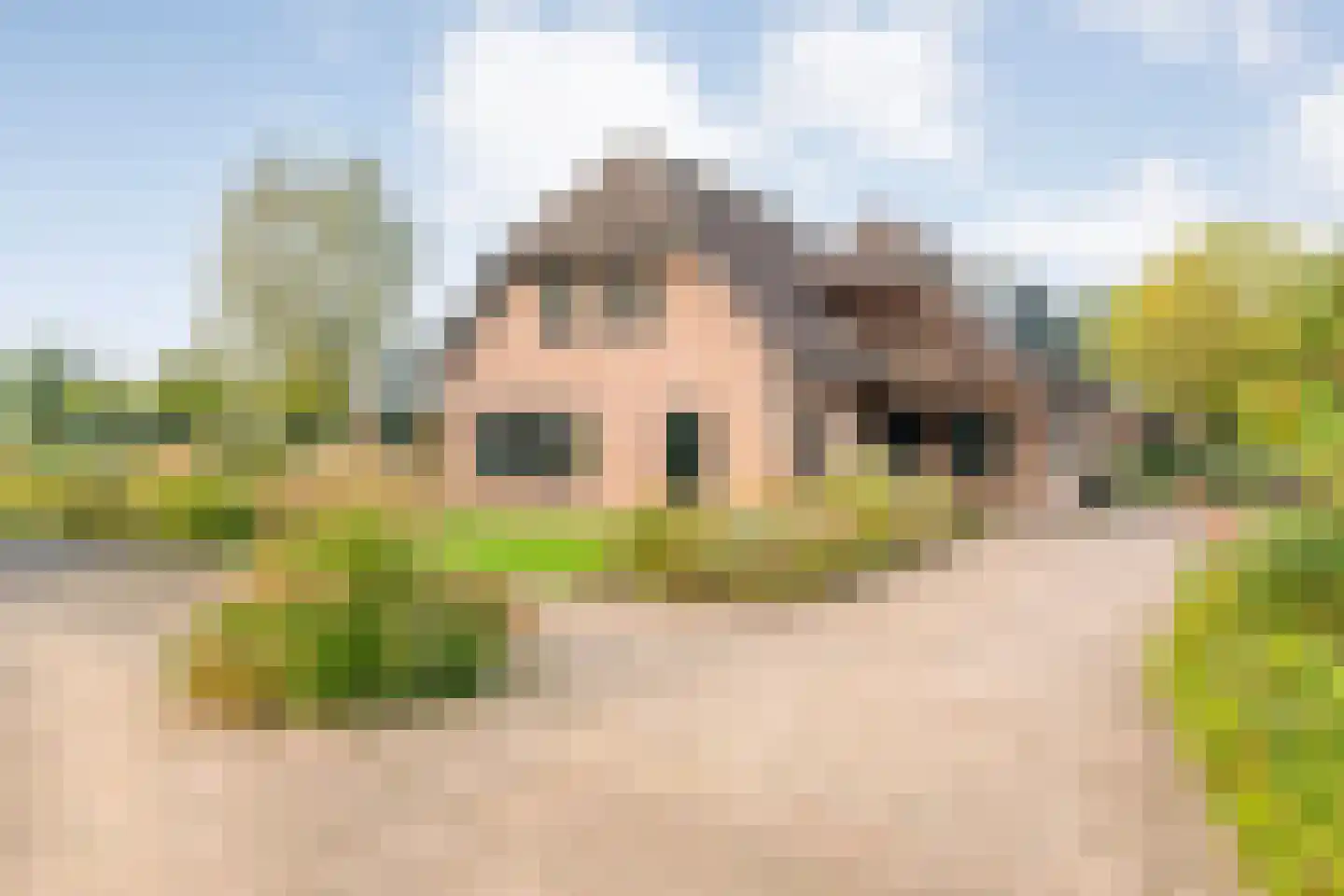 Wolthaarsdijk WZ 27 Raalte thumbnail 6