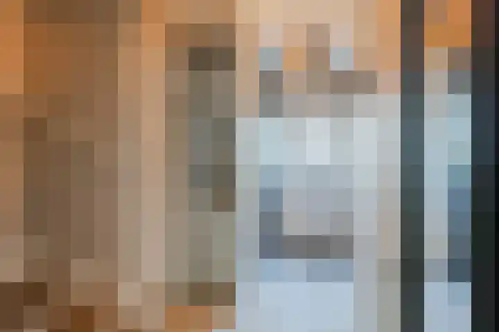 Woltingepad 11 Meppel thumbnail 10