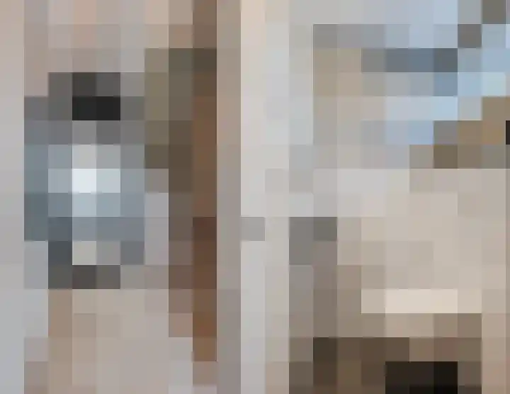 Woltingepad 11 Meppel thumbnail 11