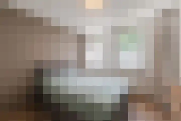 Woltingepad 11 Meppel thumbnail 12