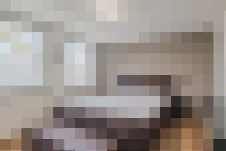 Woltingepad 11 Meppel thumbnail 15
