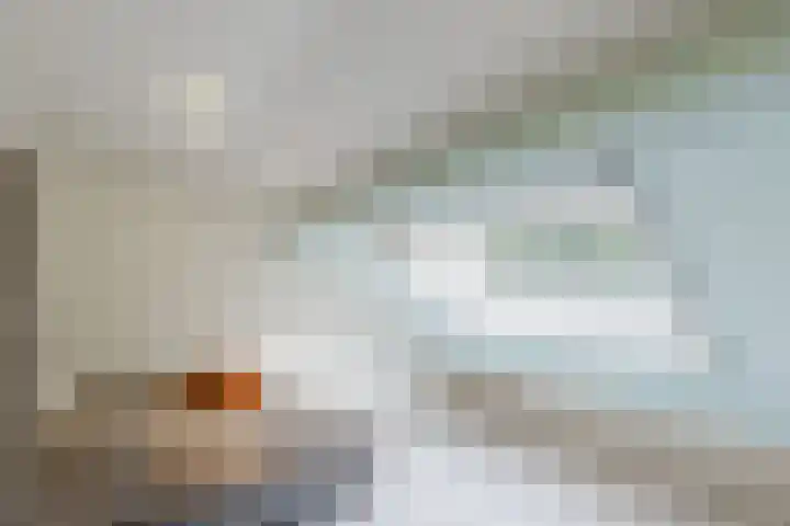 Woltingepad 11 Meppel thumbnail 22