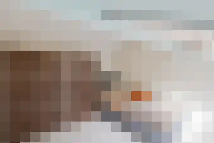 Woltingepad 11 Meppel thumbnail 23