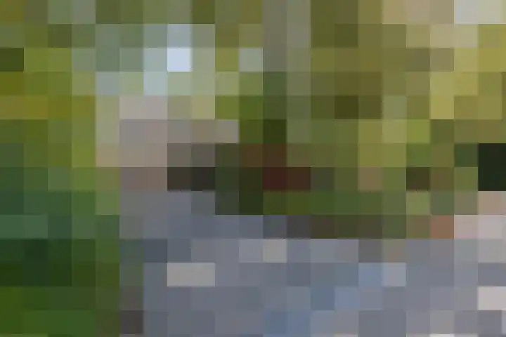 Woltingepad 11 Meppel thumbnail 24