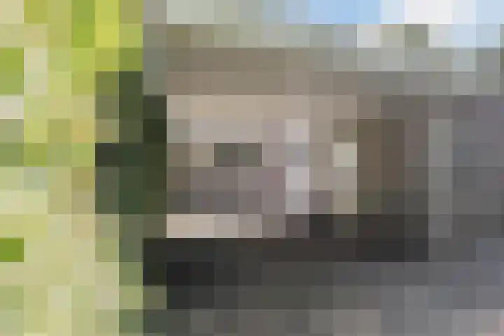 Woltingepad 11 Meppel thumbnail 25
