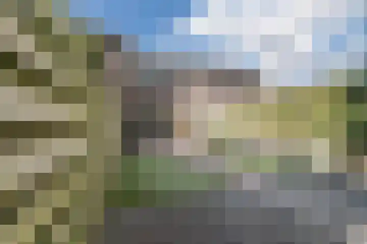 Woltingepad 11 Meppel thumbnail 29