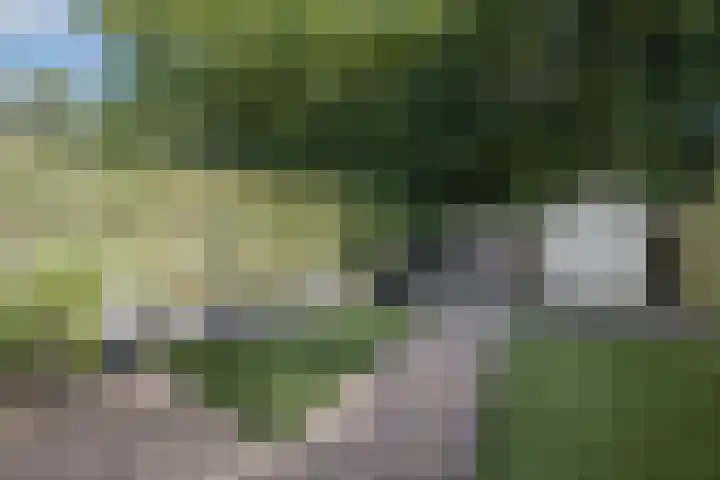 Woltingepad 11 Meppel thumbnail 30