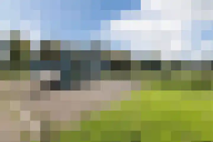 Woltingepad 11 Meppel thumbnail 32
