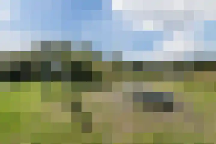 Woltingepad 11 Meppel thumbnail 33