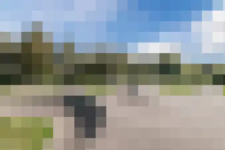 Woltingepad 11 Meppel thumbnail 34