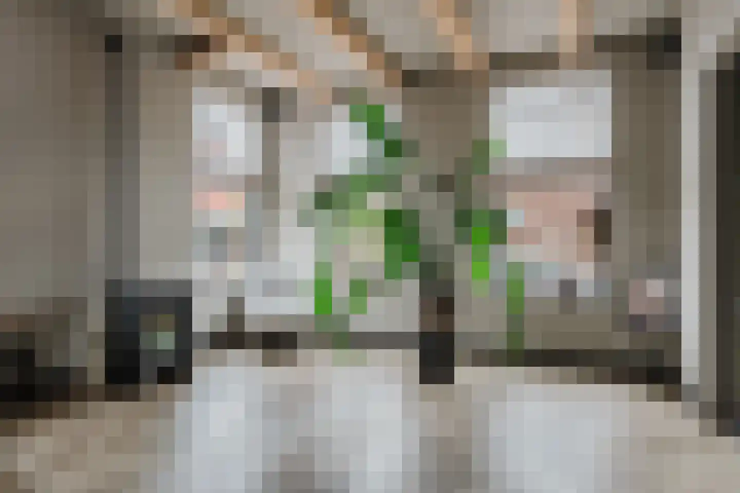Wolvegasterweg 2 Oudeschoot thumbnail 13