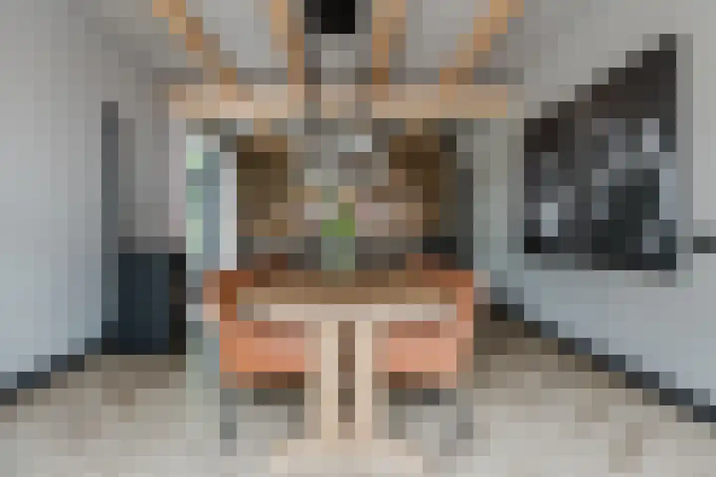 Wolvegasterweg 2 Oudeschoot thumbnail 16