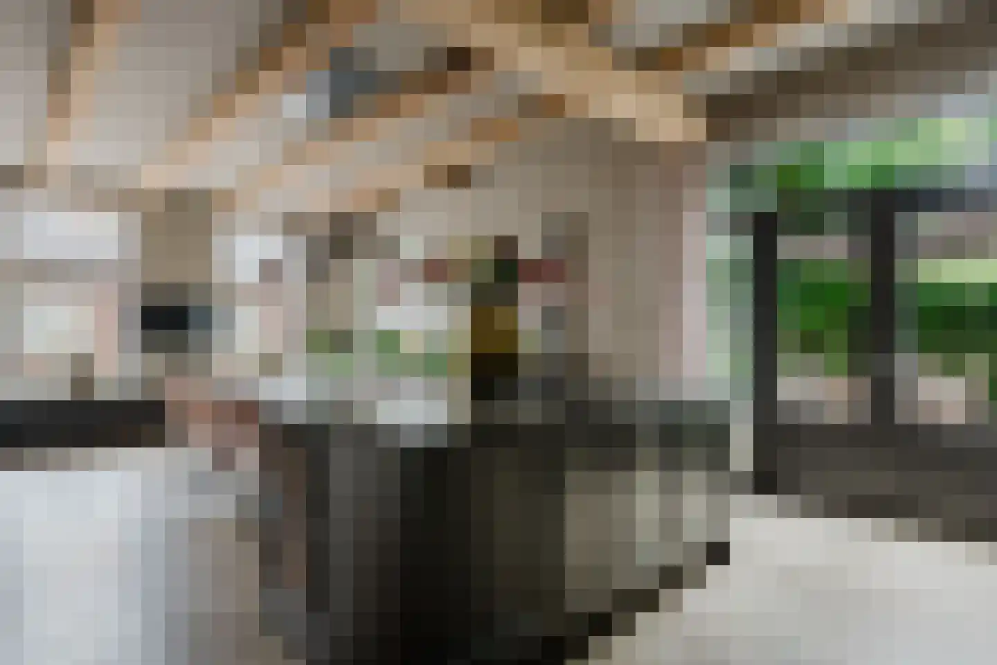 Wolvegasterweg 2 Oudeschoot thumbnail 18