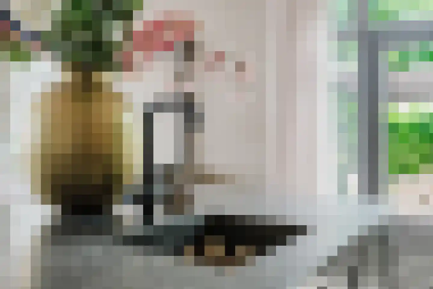 Wolvegasterweg 2 Oudeschoot thumbnail 20