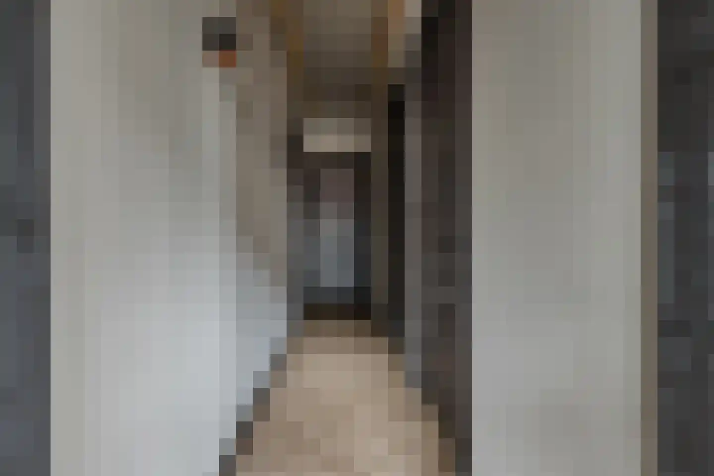 Wolvegasterweg 2 Oudeschoot thumbnail 23