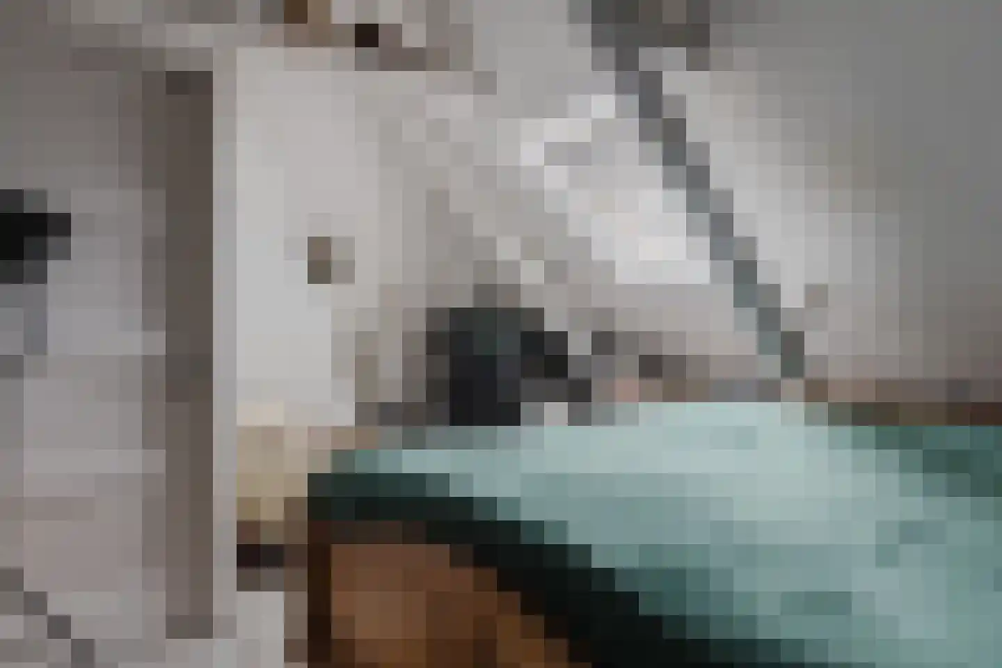 Wolvegasterweg 2 Oudeschoot thumbnail 27