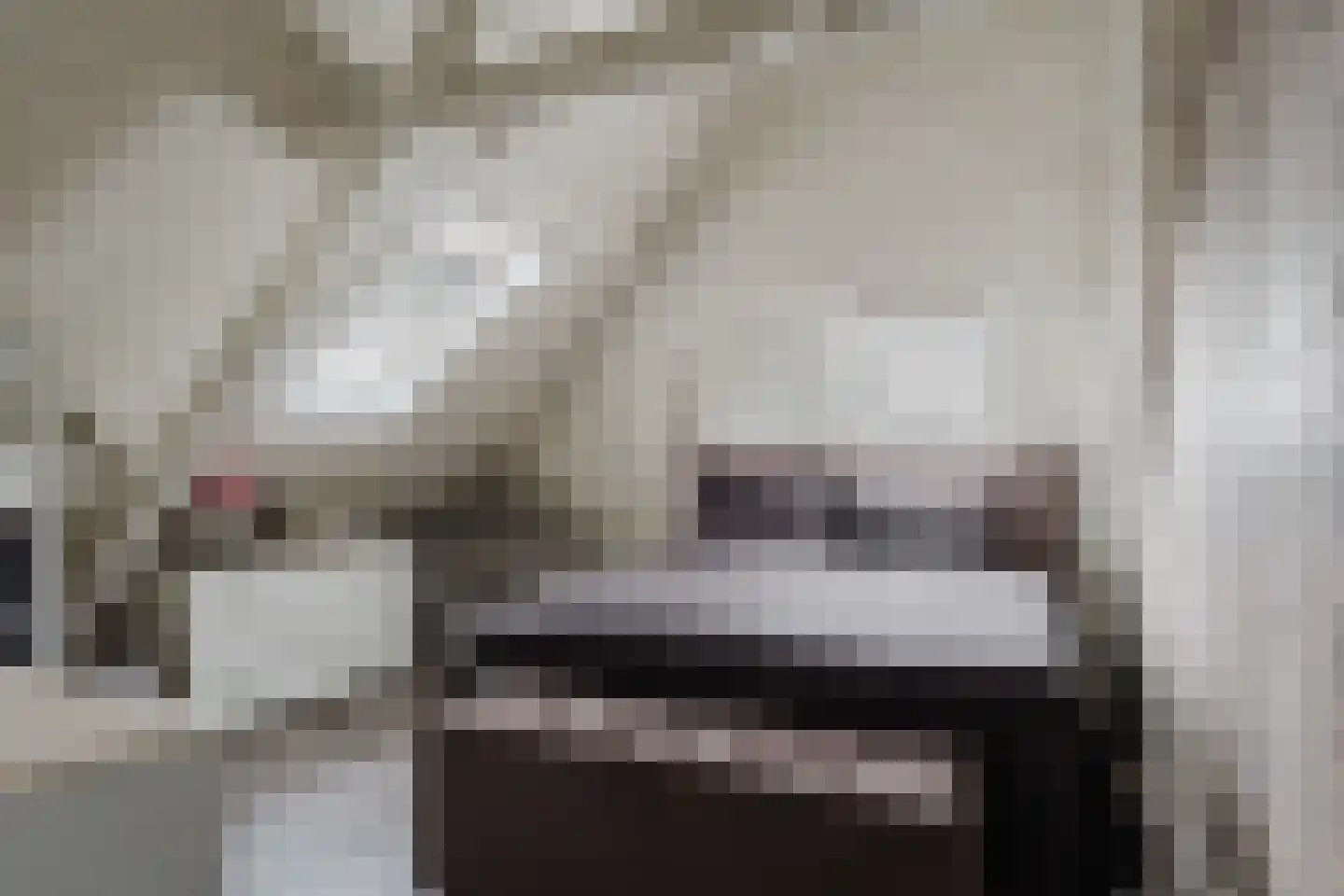 Wolvegasterweg 2 Oudeschoot thumbnail 30