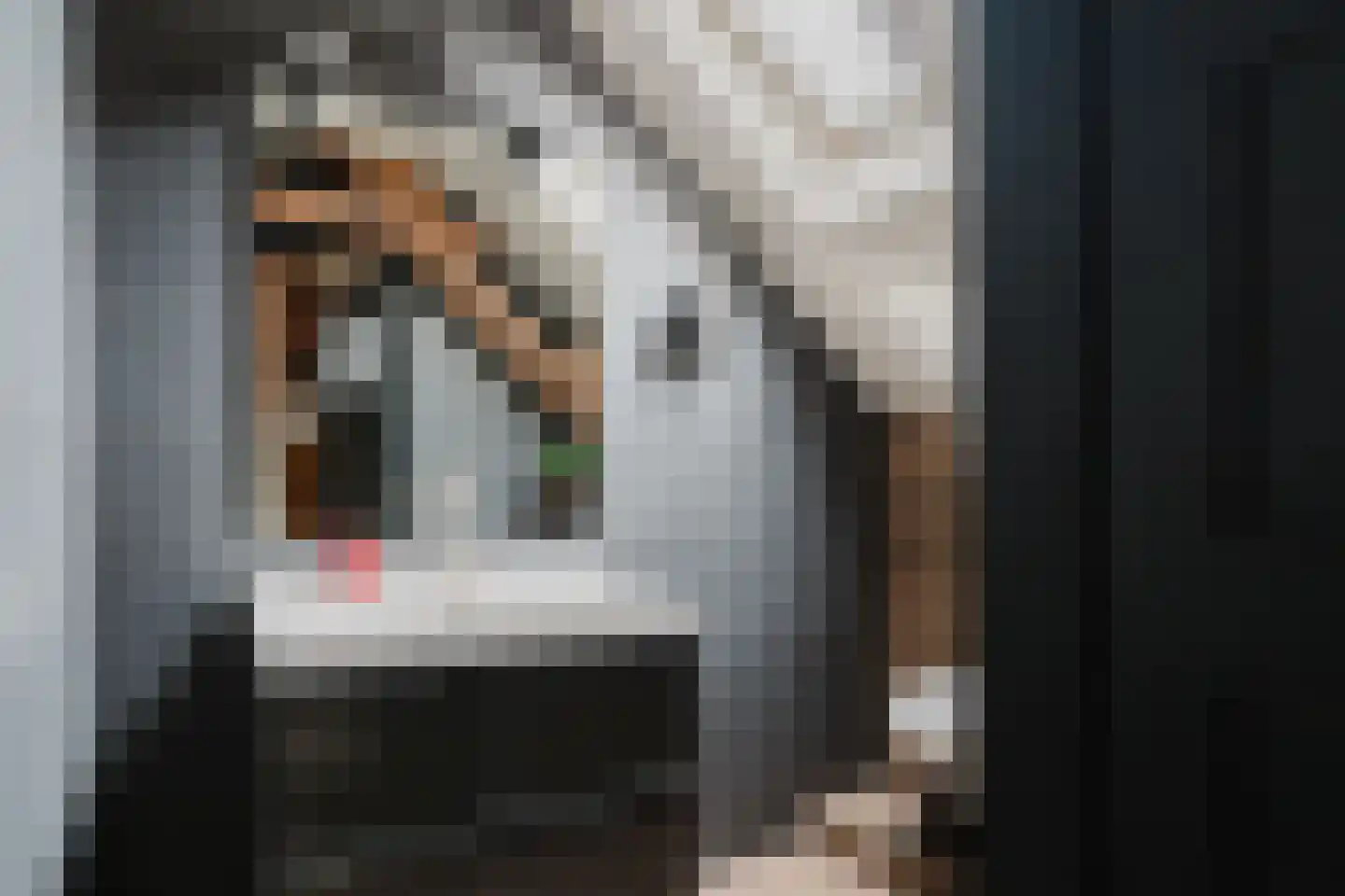 Wolvegasterweg 2 Oudeschoot thumbnail 32
