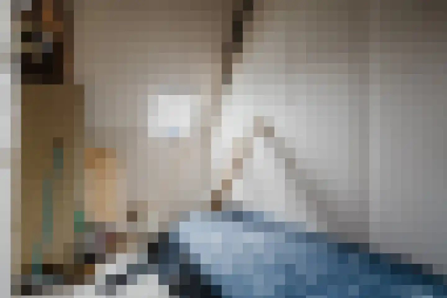 Wolvegasterweg 2 Oudeschoot thumbnail 35