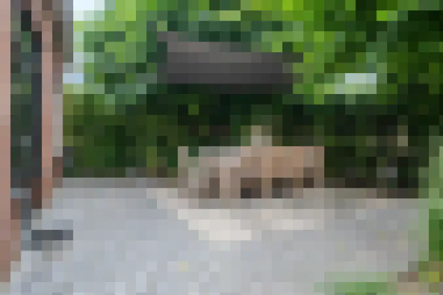 Wolvegasterweg 2 Oudeschoot thumbnail 38