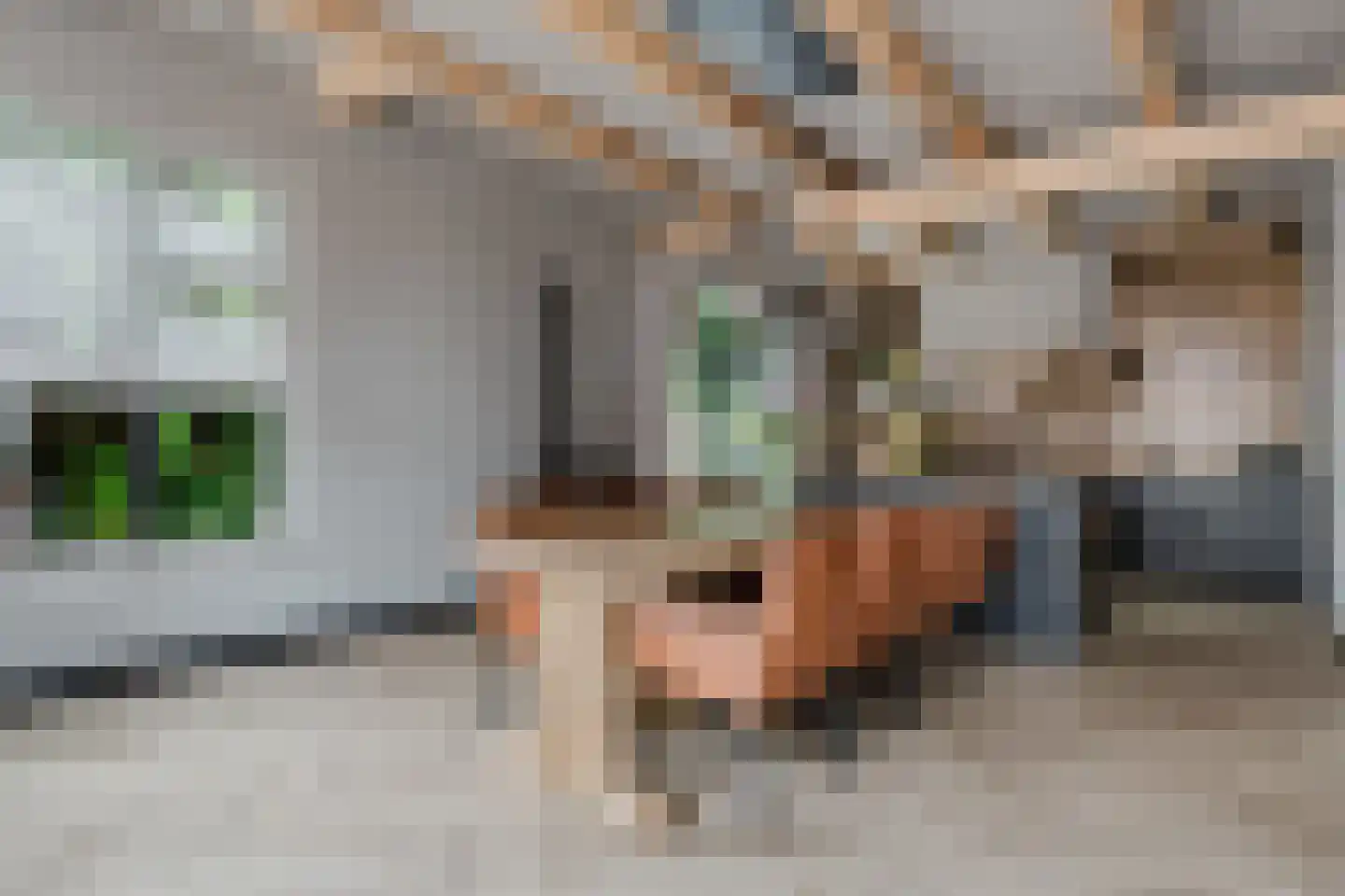 Wolvegasterweg 2 Oudeschoot thumbnail 4