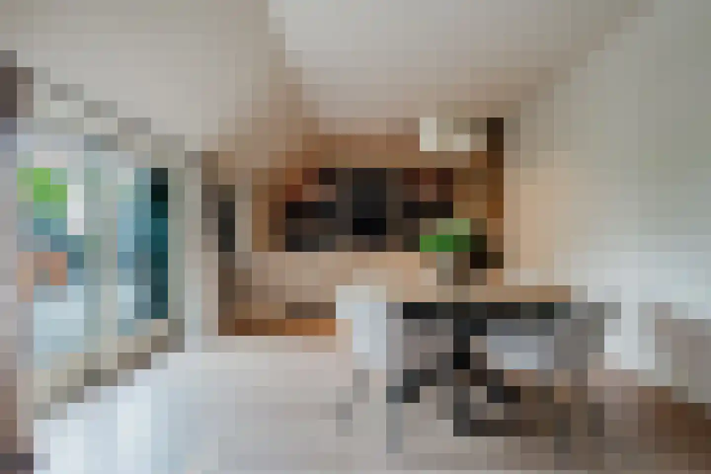 Wolvegasterweg 2 Oudeschoot thumbnail 42