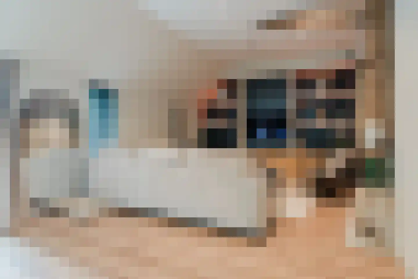Wolvegasterweg 2 Oudeschoot thumbnail 43