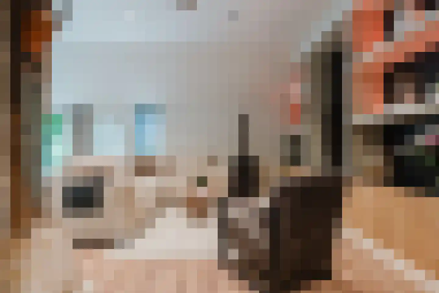 Wolvegasterweg 2 Oudeschoot thumbnail 44