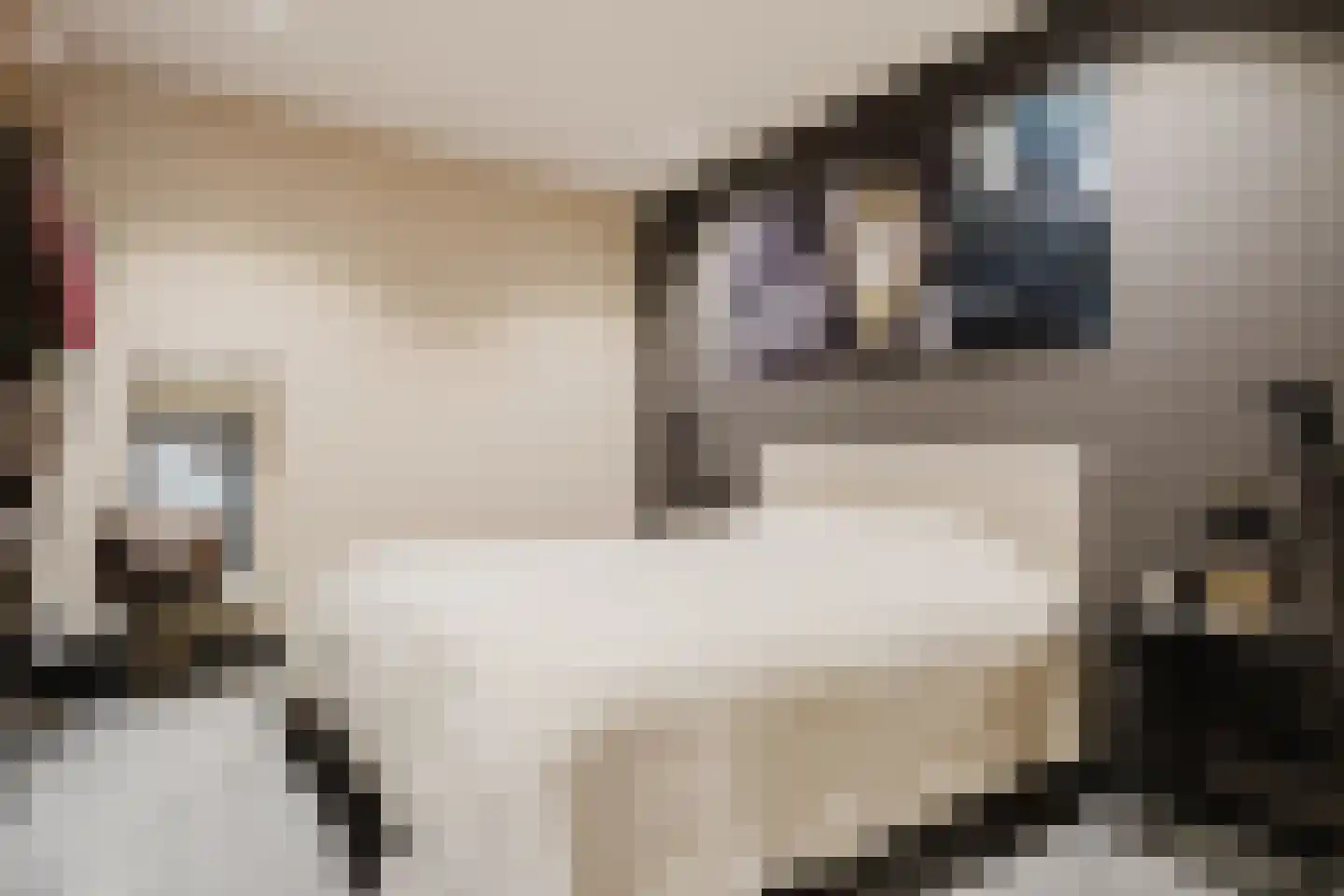 Wolvegasterweg 2 Oudeschoot thumbnail 47