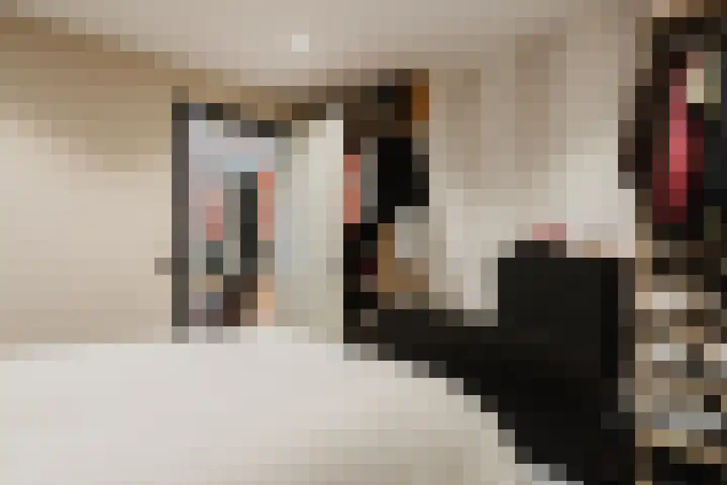 Wolvegasterweg 2 Oudeschoot thumbnail 48
