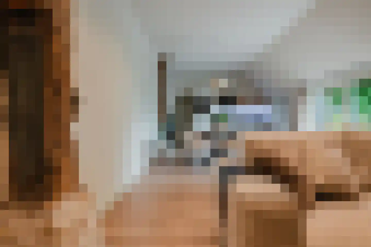 Wolvegasterweg 2 Oudeschoot thumbnail 49