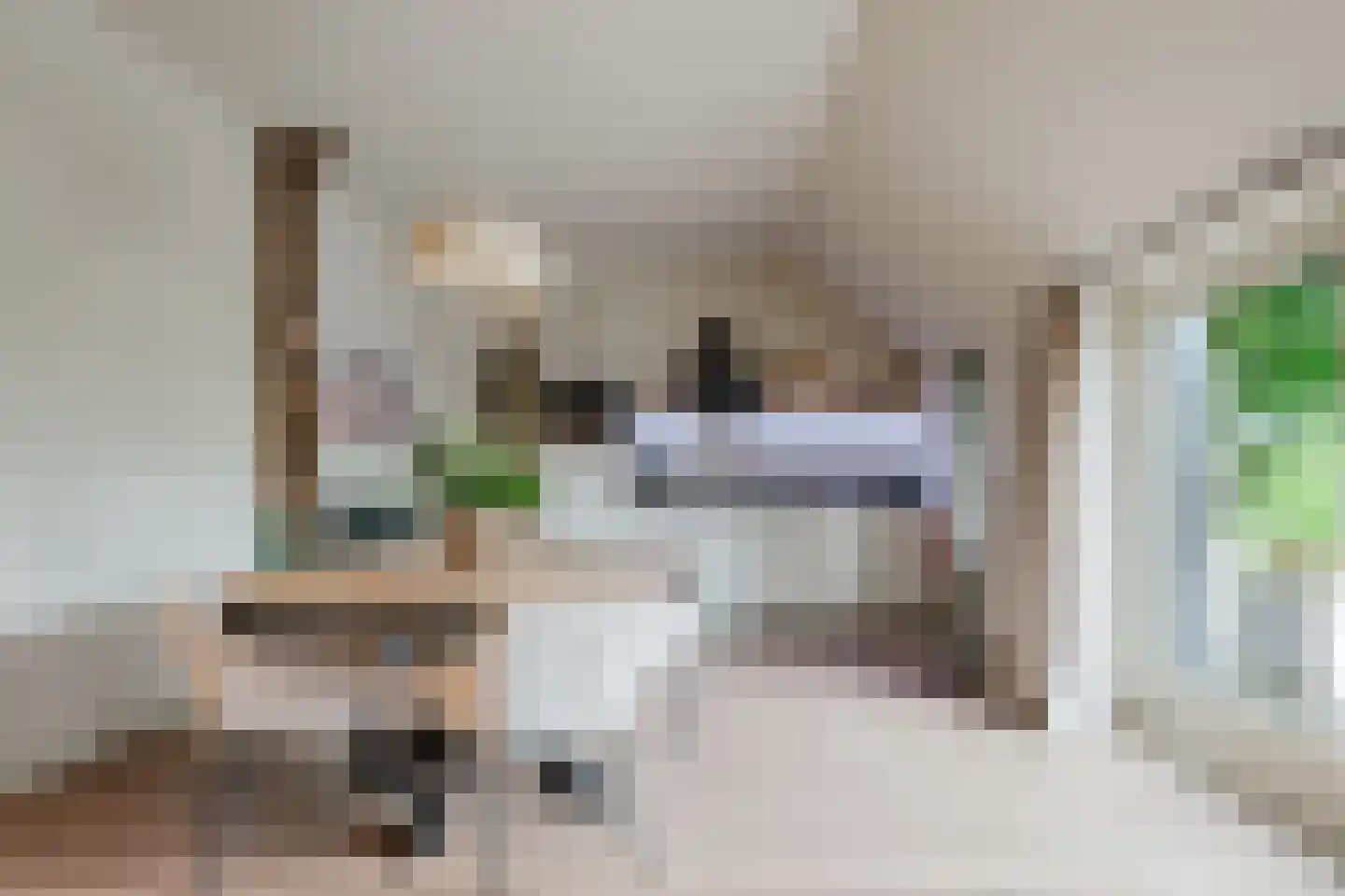 Wolvegasterweg 2 Oudeschoot thumbnail 50