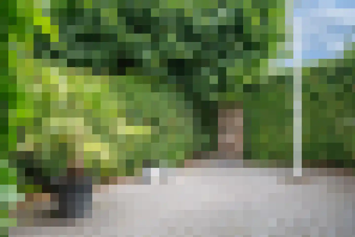 Wolvegasterweg 2 Oudeschoot thumbnail 56
