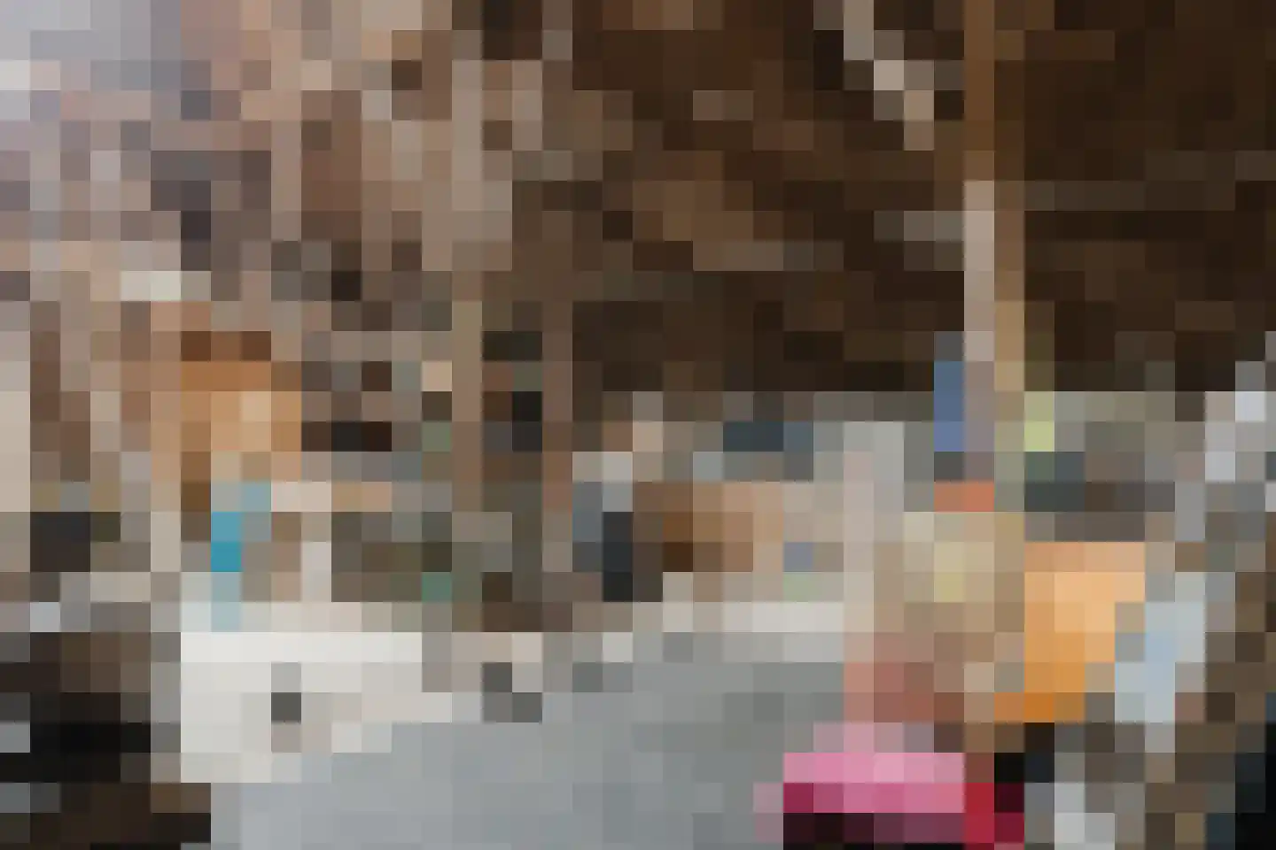 Wolvegasterweg 2 Oudeschoot thumbnail 60