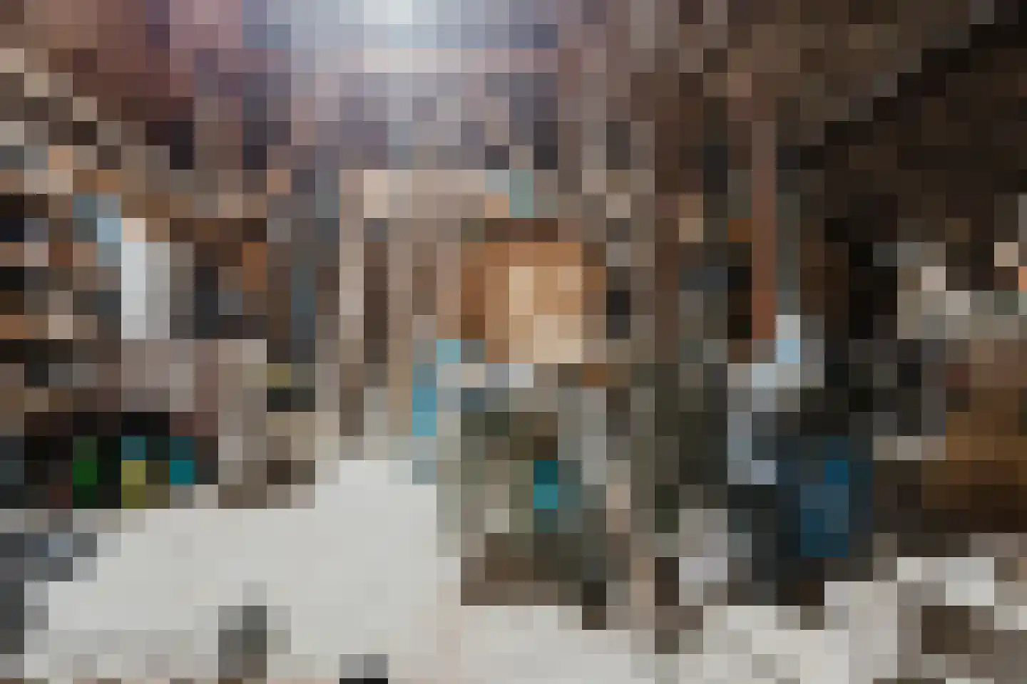 Wolvegasterweg 2 Oudeschoot thumbnail 62