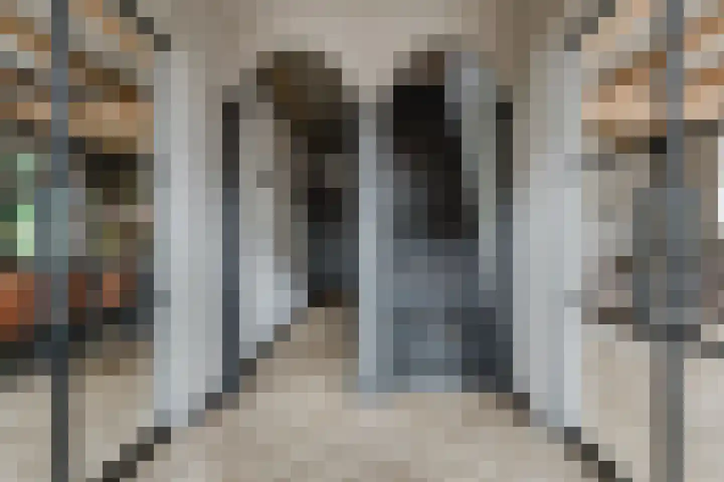 Wolvegasterweg 2 Oudeschoot thumbnail 8