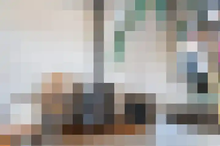 Wolvegasterweg 5 Oudeschoot thumbnail 15