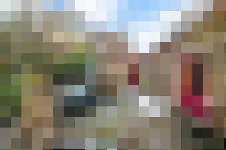 Wolvegasterweg 5 Oudeschoot thumbnail 19
