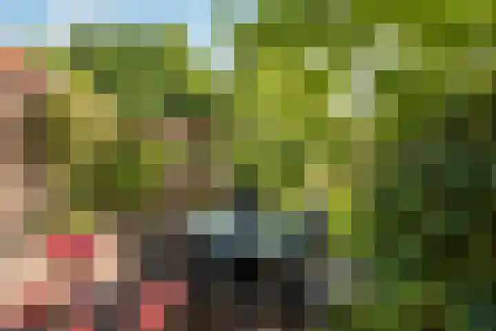 Wolvegasterweg 5 Oudeschoot thumbnail 22