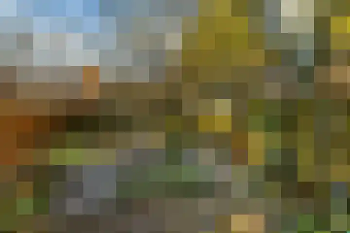 Wolvegasterweg 5 Oudeschoot thumbnail 24