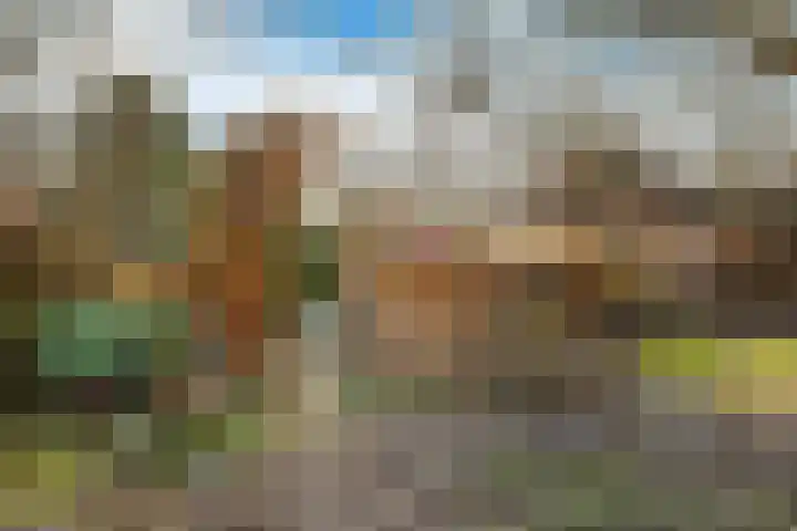 Wolvegasterweg 5 Oudeschoot thumbnail 26