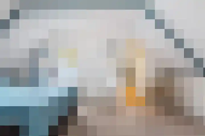 Wolvegasterweg 5 Oudeschoot thumbnail 32