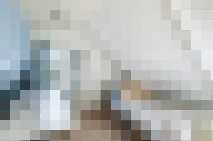 Wolvegasterweg 5 Oudeschoot thumbnail 36