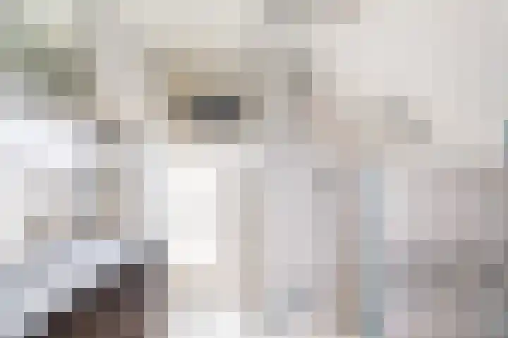 Wolvegasterweg 5 Oudeschoot thumbnail 39