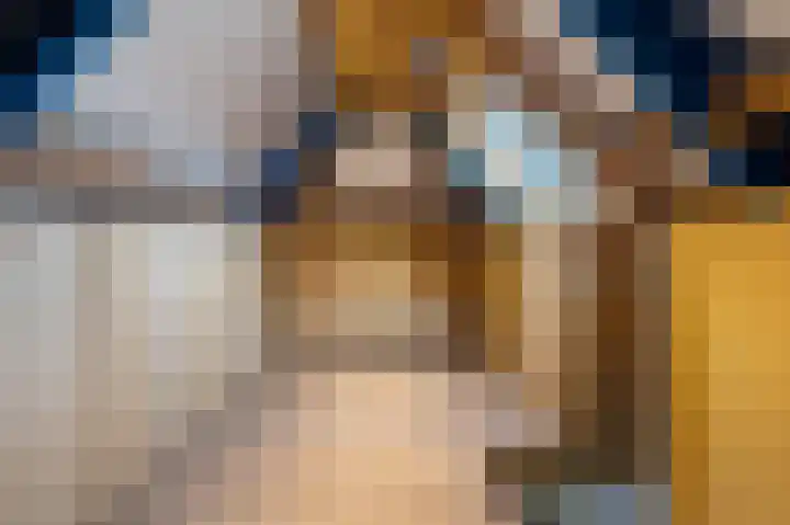 Wolvegasterweg 5 Oudeschoot thumbnail 53