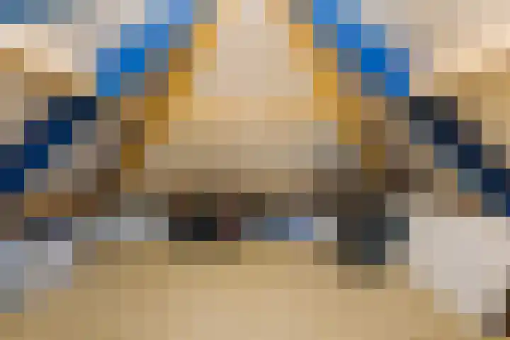 Wolvegasterweg 5 Oudeschoot thumbnail 55