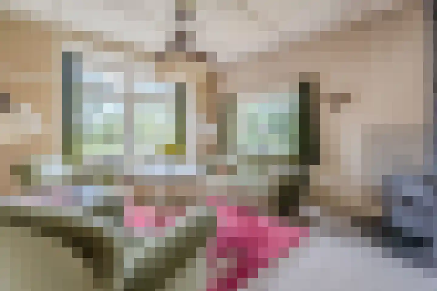 Wolvegasterweg 51 Oldeberkoop thumbnail 10