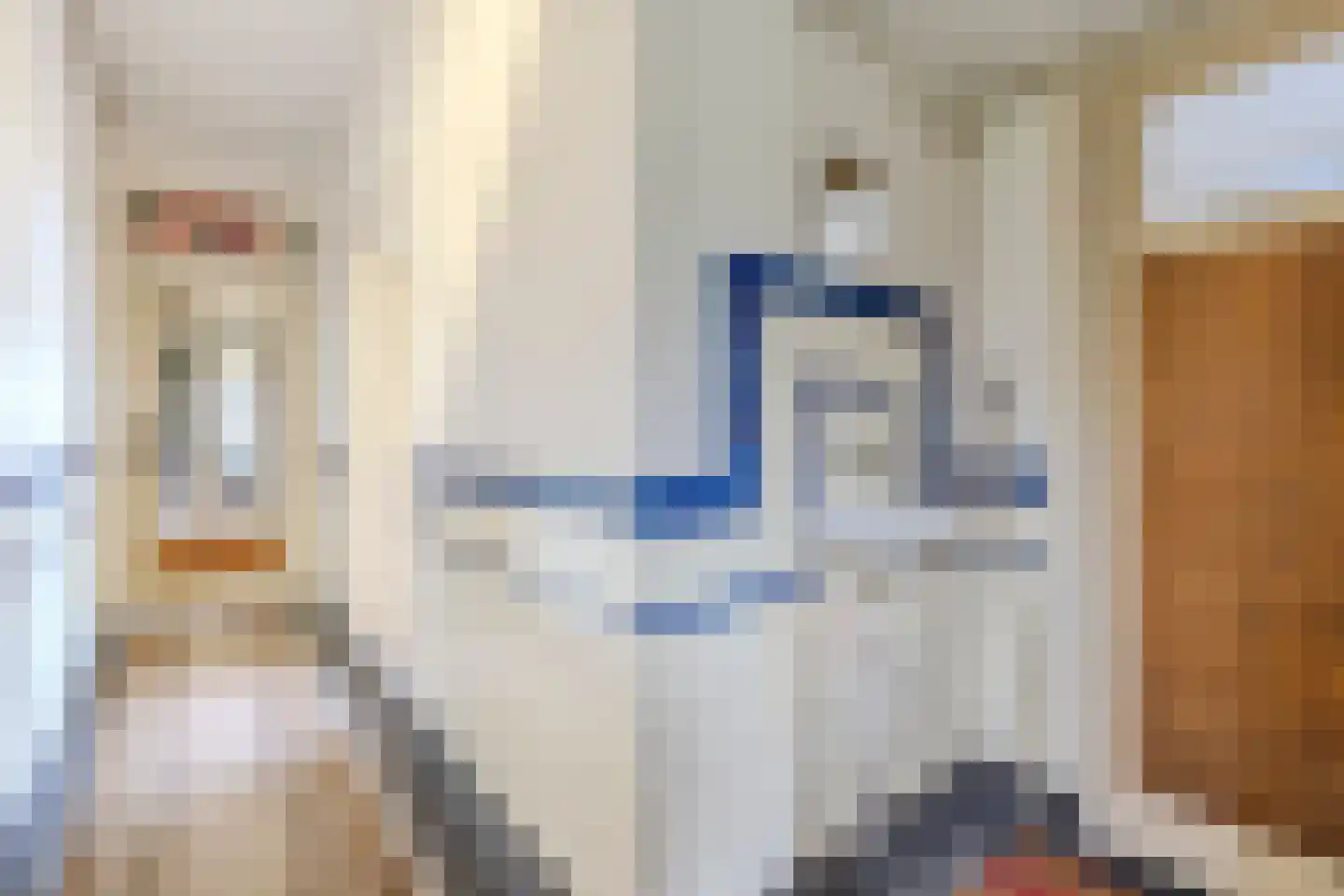 Wolvegasterweg 51 Oldeberkoop thumbnail 20