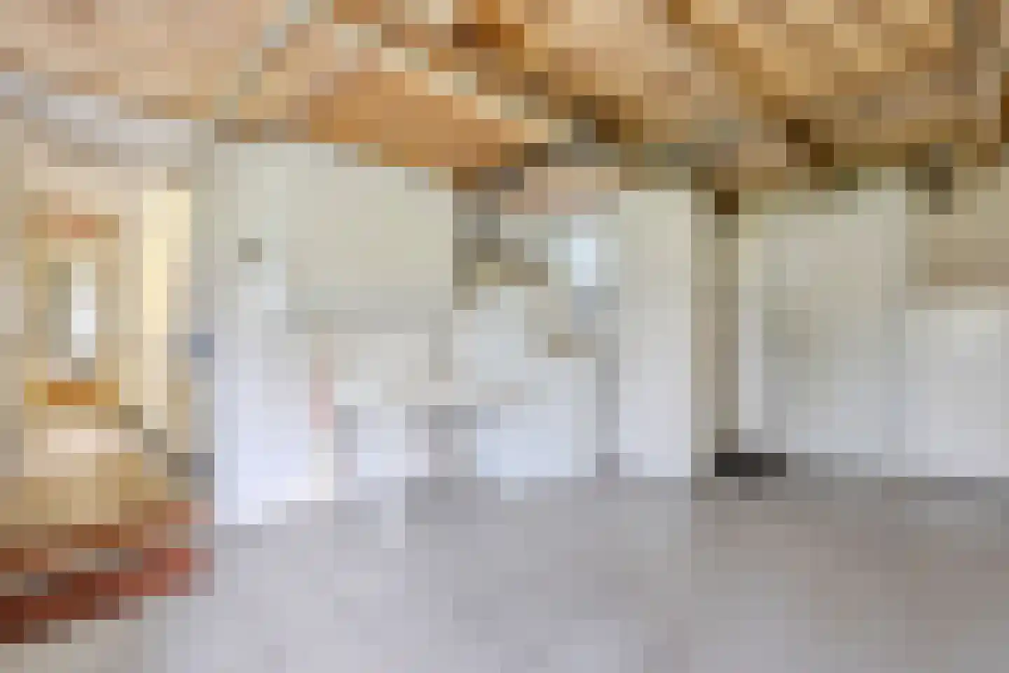 Wolvegasterweg 51 Oldeberkoop thumbnail 22