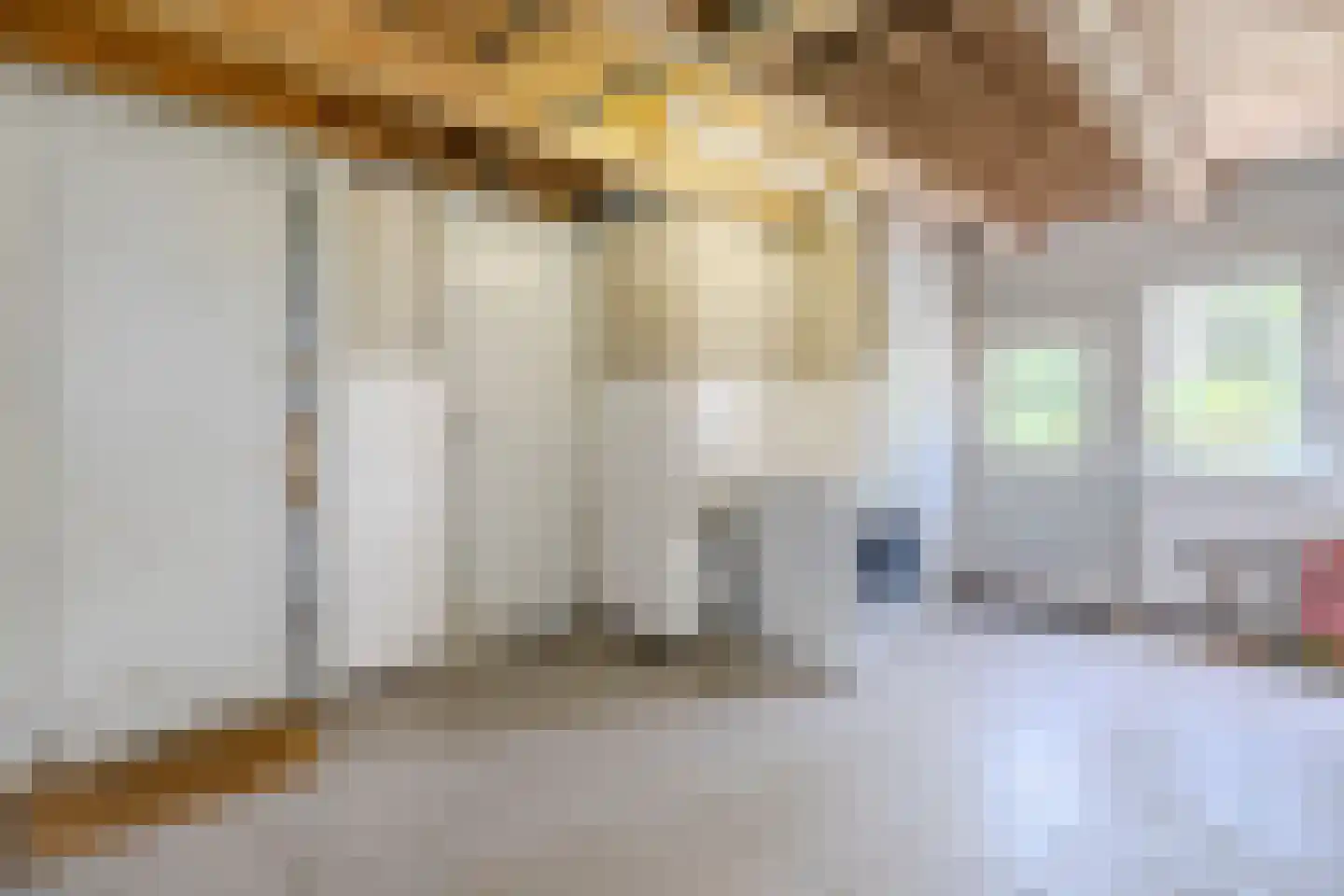 Wolvegasterweg 51 Oldeberkoop thumbnail 23